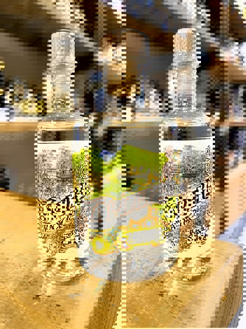 Fynoderee Kerala Chai Gin 43% 5cl