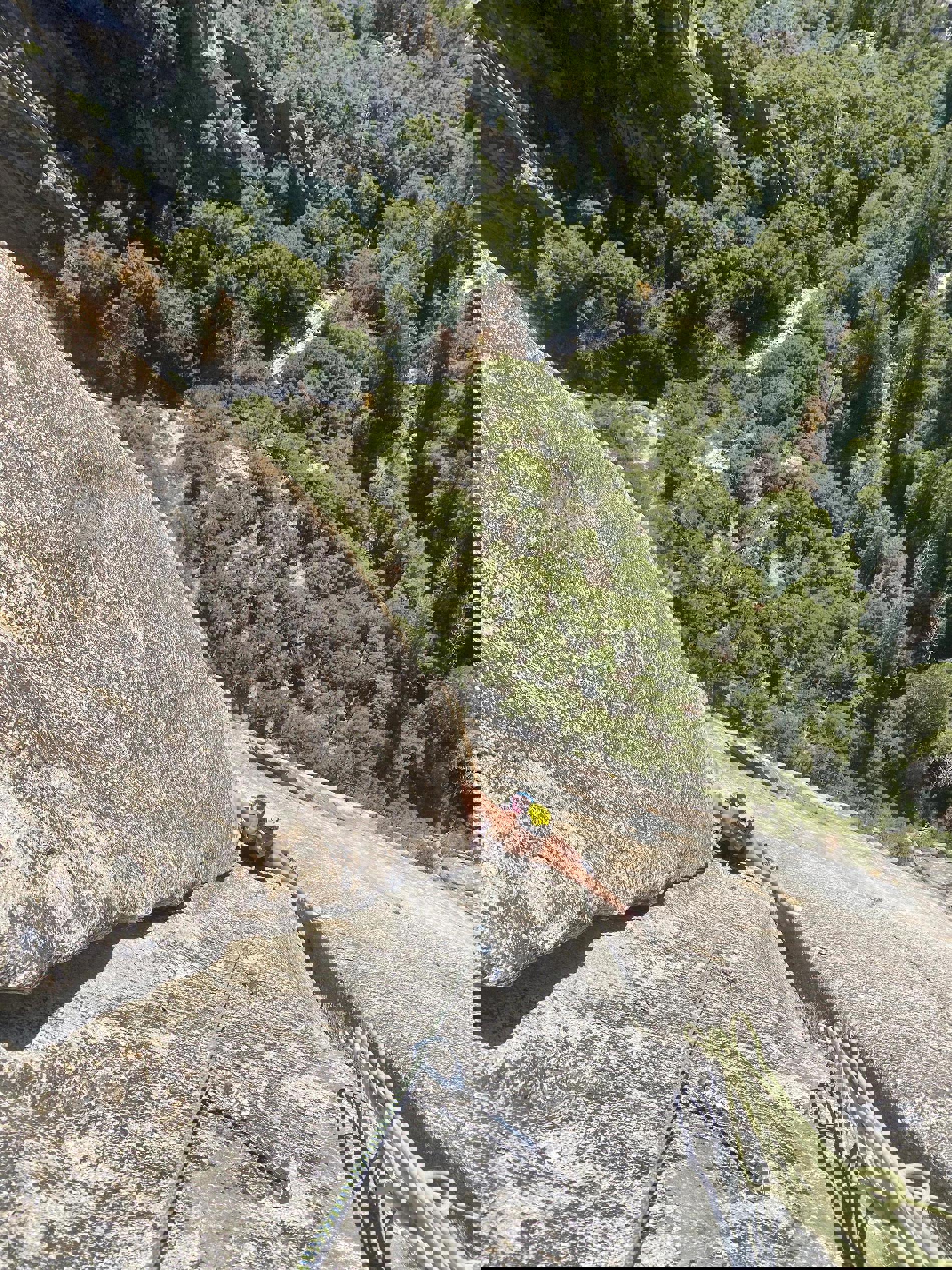 Saledock.Ecommerce.Core.Models.ImageDTO