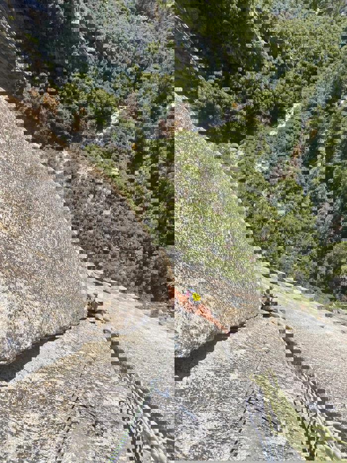 Tendon Hattrick 9.7mm Review from Rhosyln Frugtniet