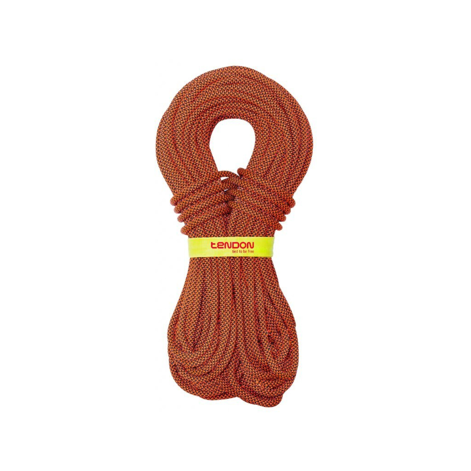 Red swatch
