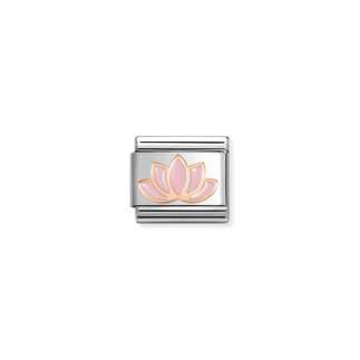 430202 44 Pink Lotus Flower