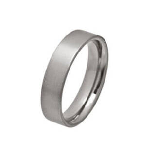 Titanium 6mm Court Flat Ellipse Ring