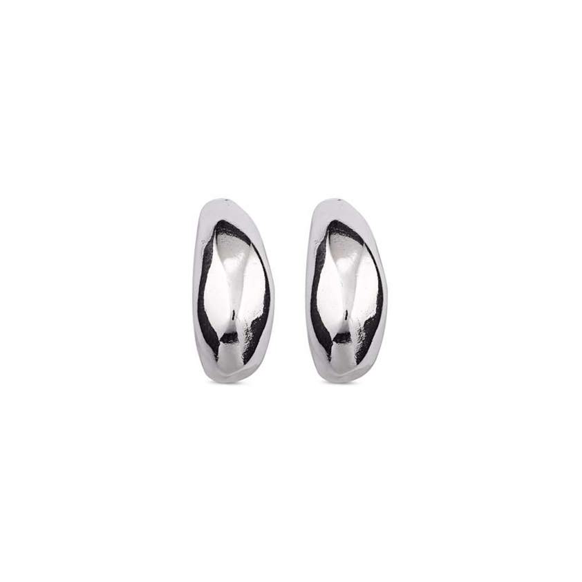 Silver Plated Drops Earrings