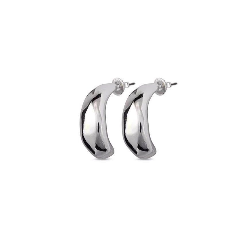 Silver Plated Drops Earrings