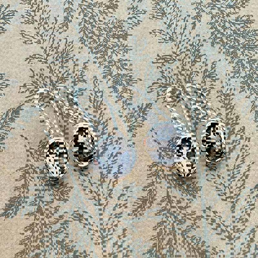 Enchanted Tales Drop Earrings - DTFS