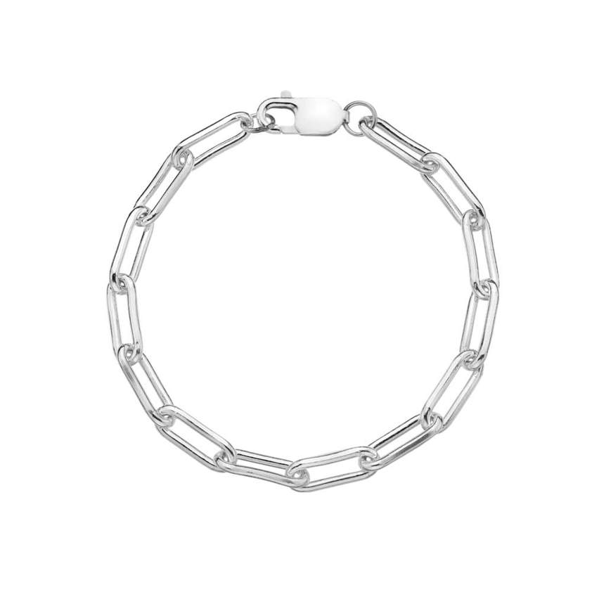 Silver Large Long Link Chain