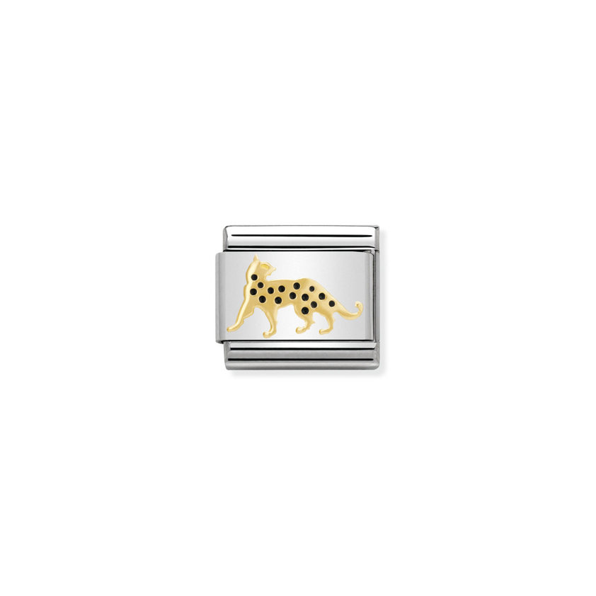 030248 16 Leopard