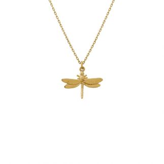 Teeny Tiny Dragonfly Necklace