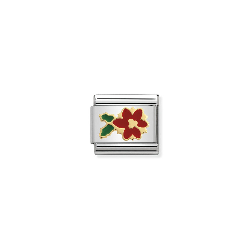 030225 20 Poinsettia Flower