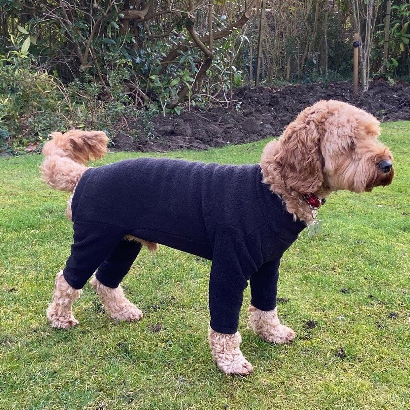 Black Pawsome Four Leg Fleece Suit