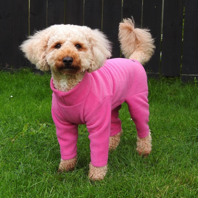 Cerise Pawsome Four Leg Fleece Suit