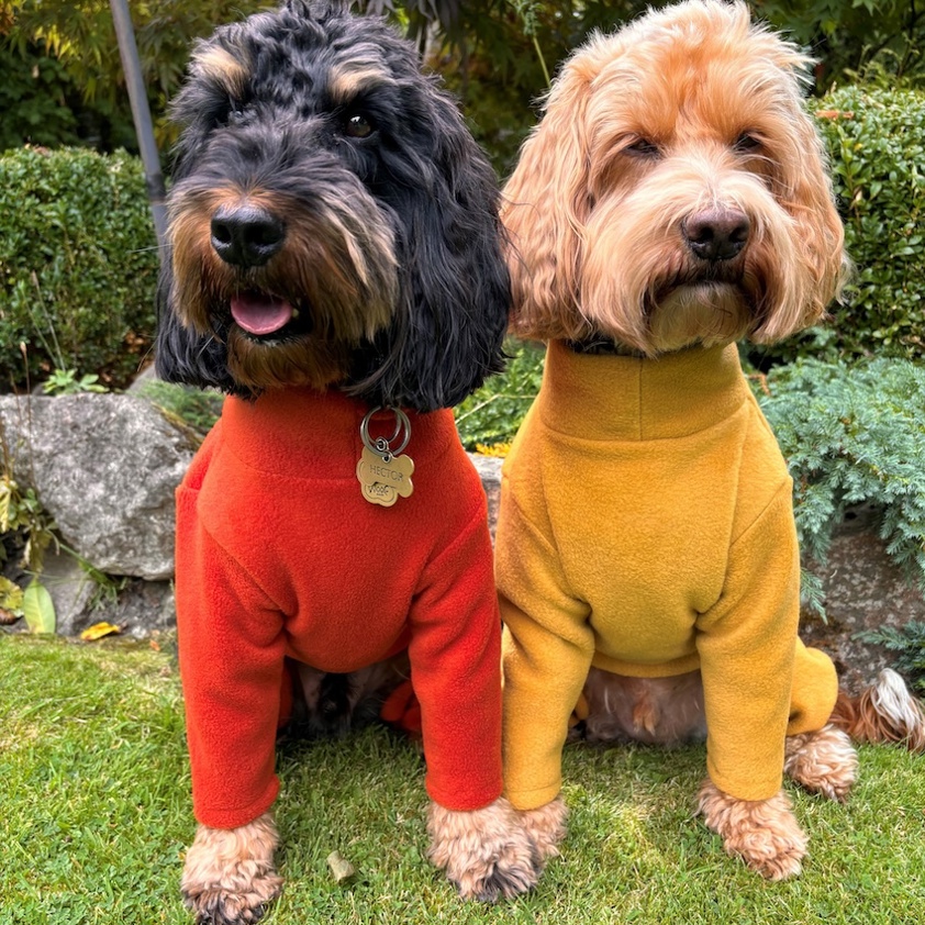 Mustard Pawsome Four Leg Fleece Suit