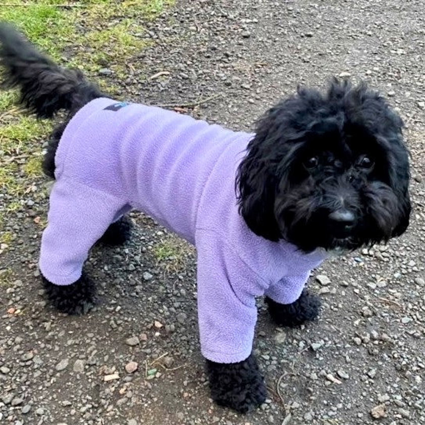 Jade Pawsome Four Leg Fleece Suit