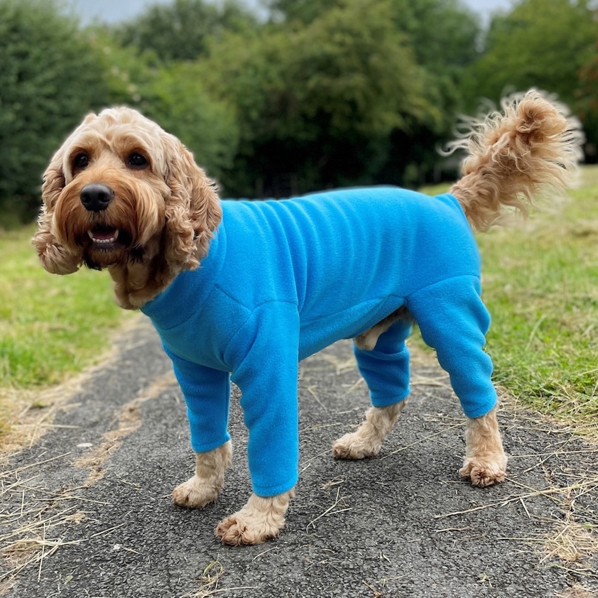 Turquoise Blue Pawsome Four Leg Fleece Suit