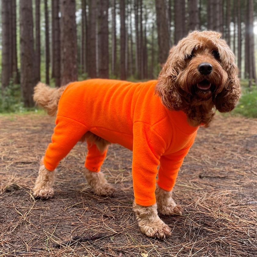 Orange Pawsome Four Leg Fleece Suit