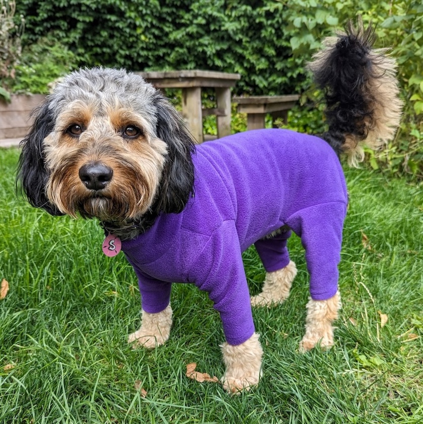 Purple Pawsome Four Leg Fleece Suit