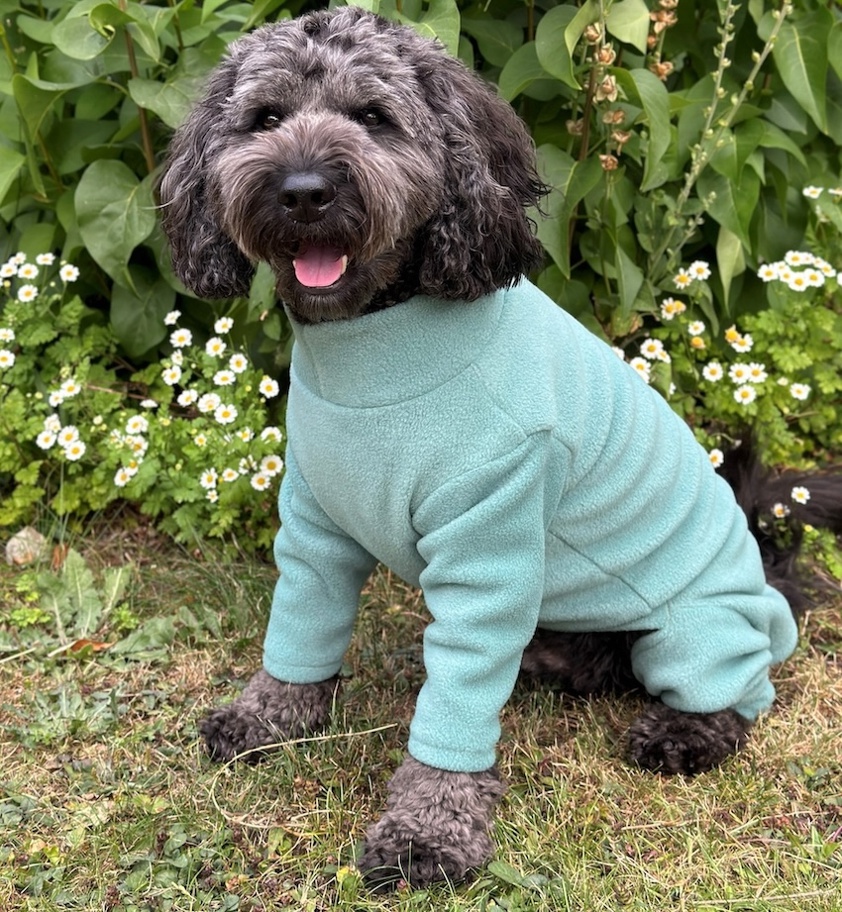 Sage Pawsome Four Leg Fleece Suit