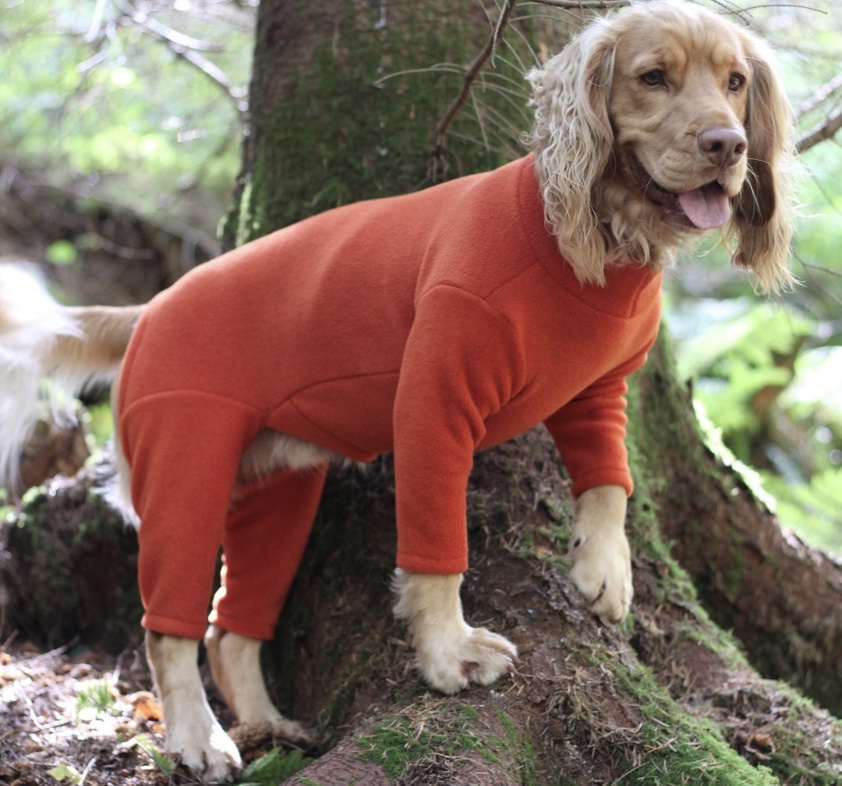 Jade Pawsome Four Leg Fleece Suit