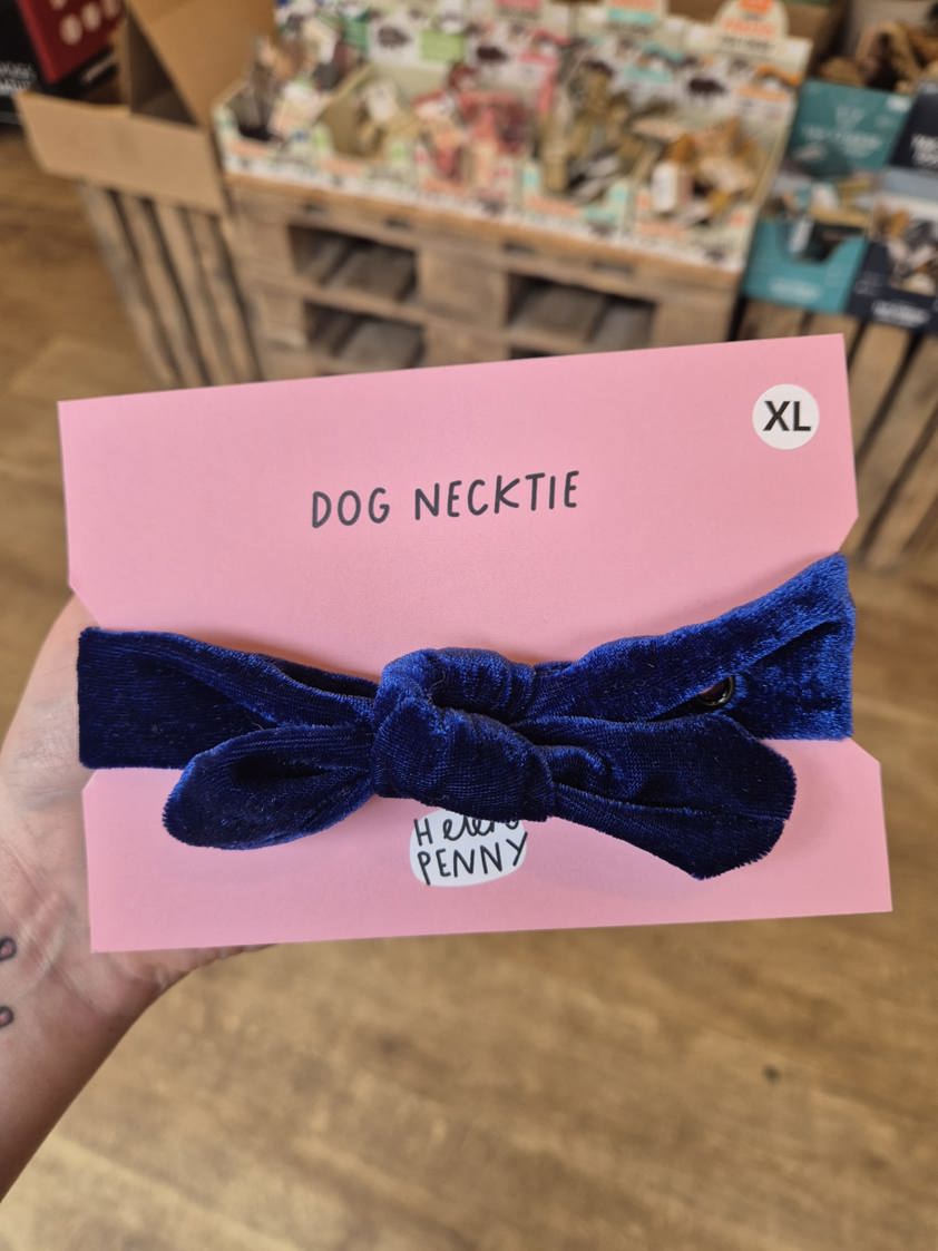 Electric Blue Helen Penny Dog Neck Tie