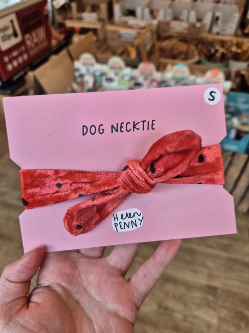 Watermelon Helen Penny Dog Neck Tie