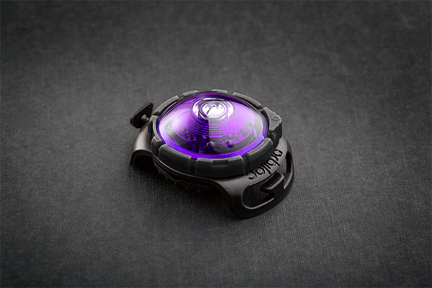 Purple Orbiloc Dual Safety Light