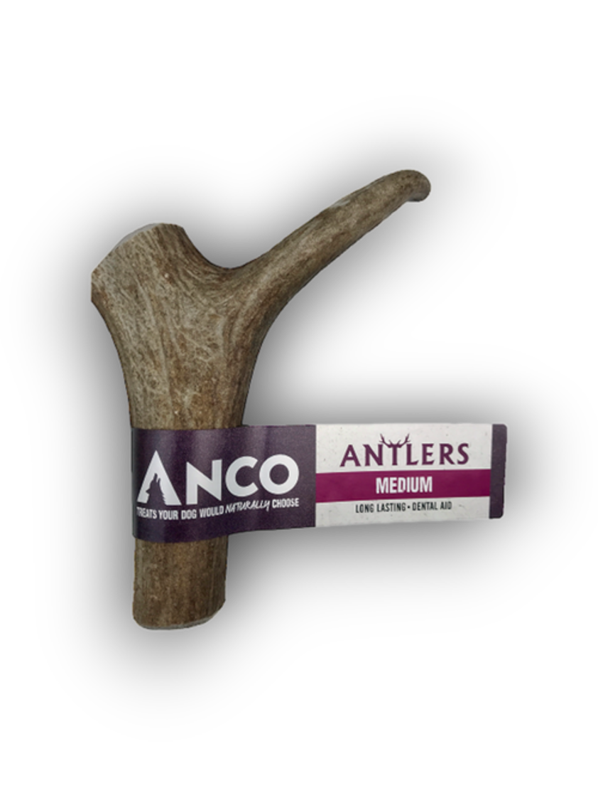 Anco Antlers