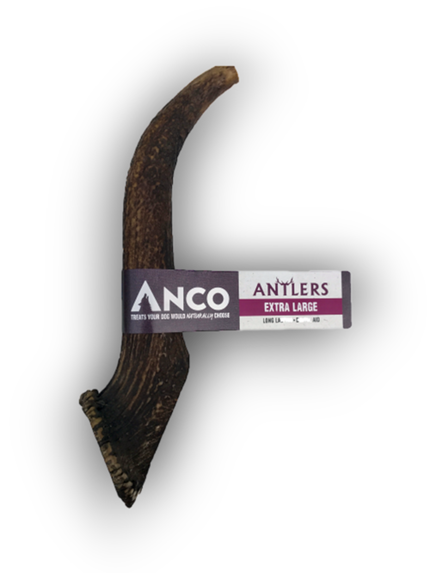 Anco Antlers