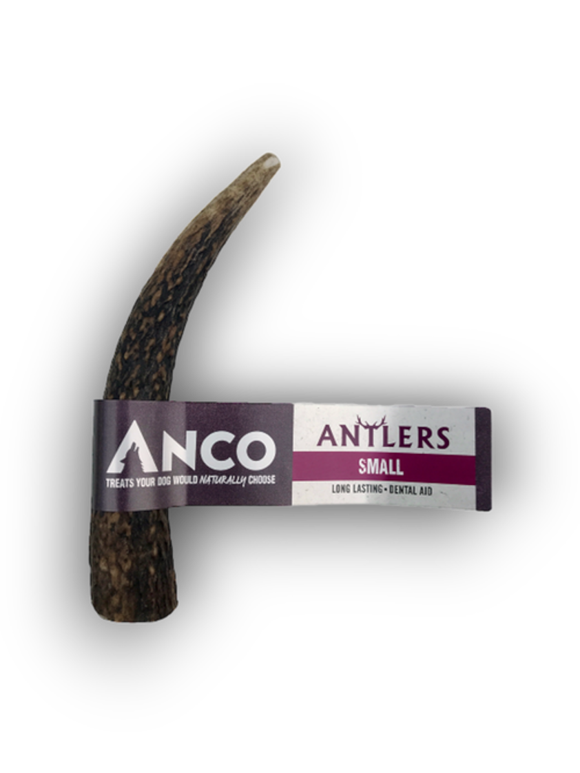 Anco Antlers