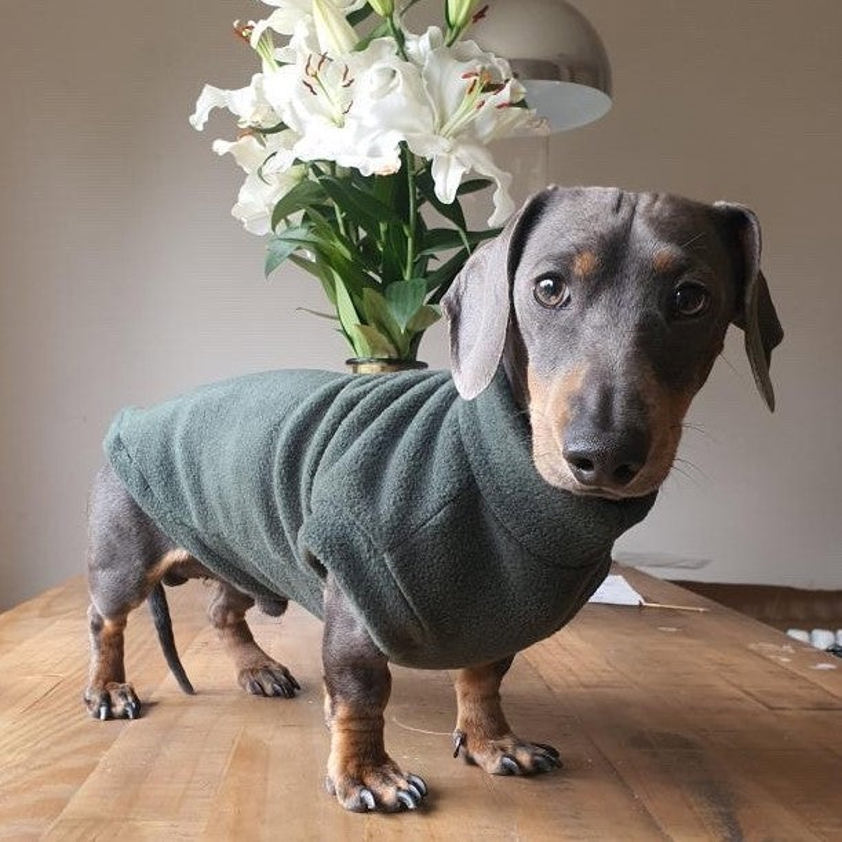 Forest Green Pawsome Suits Dachshund Fleece