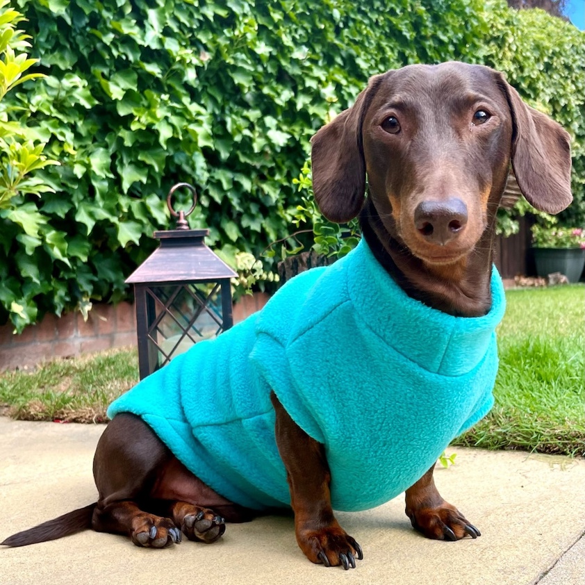 Jade Pawsome Suits Dachshund Fleece