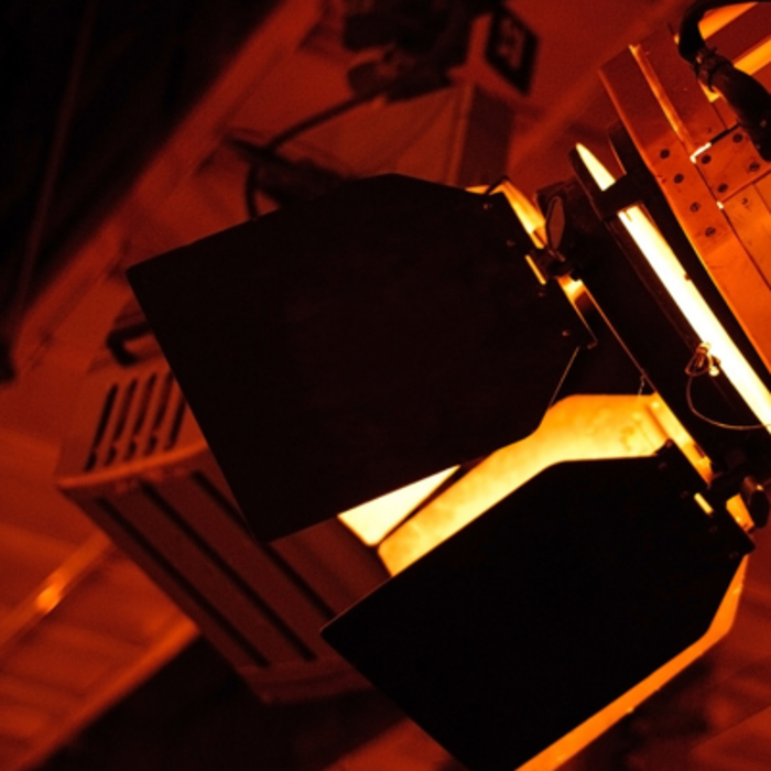 Barndoors and Irises