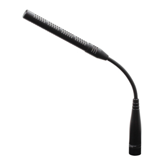 Gooseneck Microphone