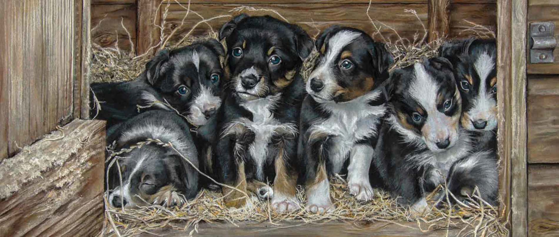 Fine Art Dogs Prints