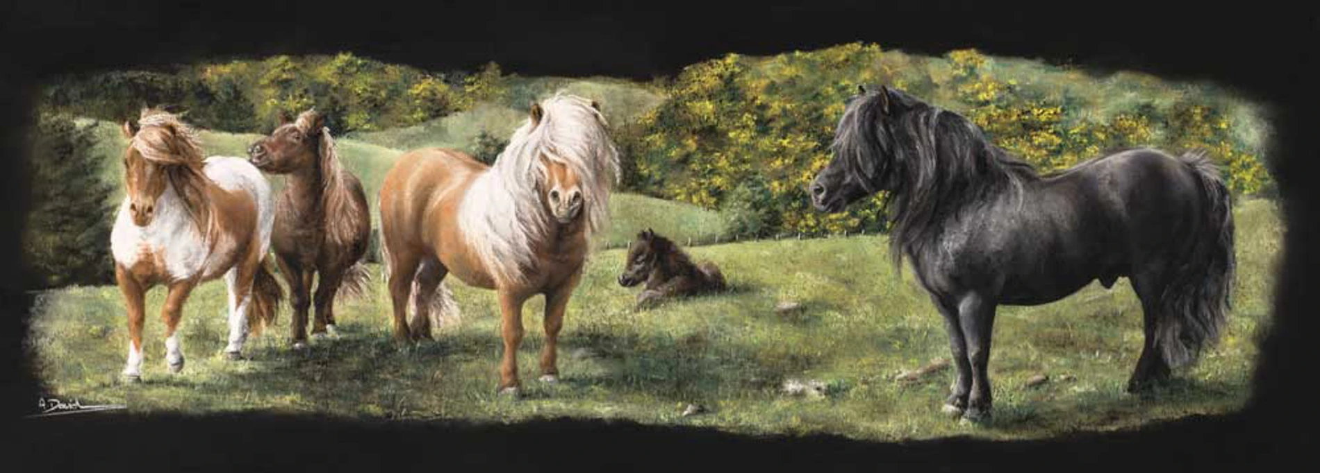 Fine Art Horse Prints