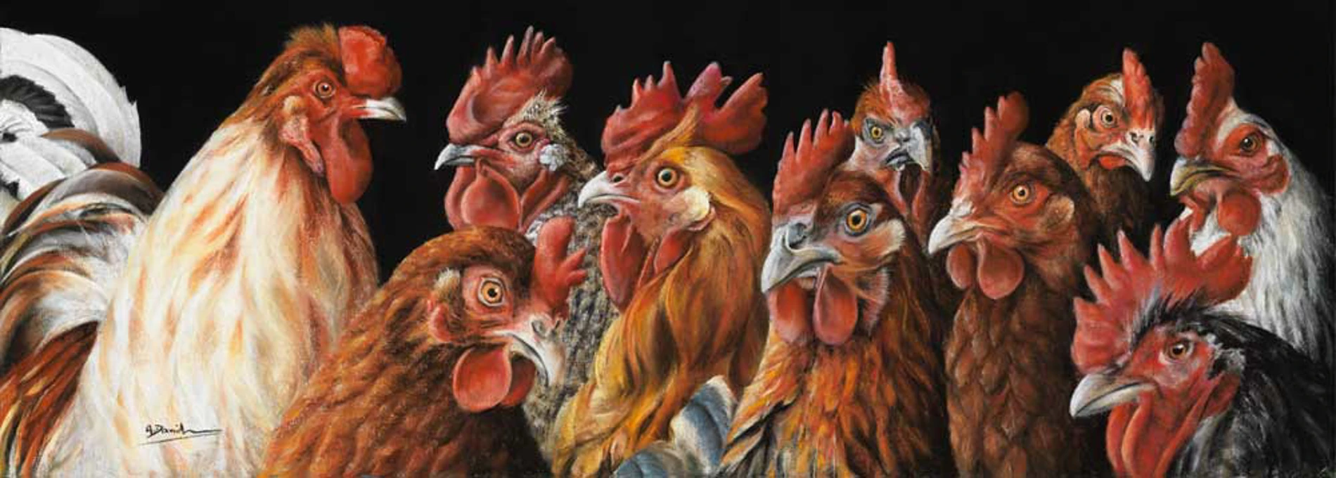 Fine Art Bird and Fowl Prints