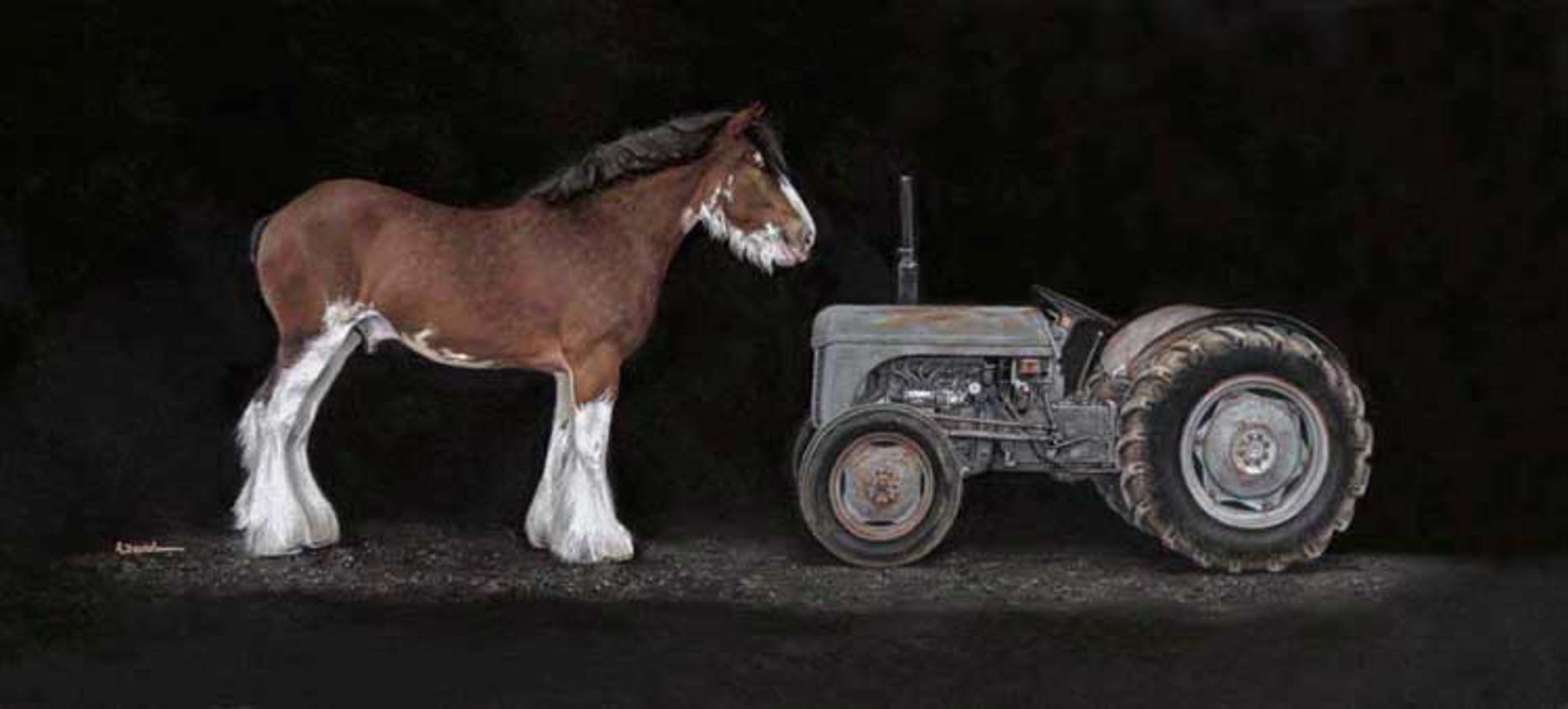 Equine Art