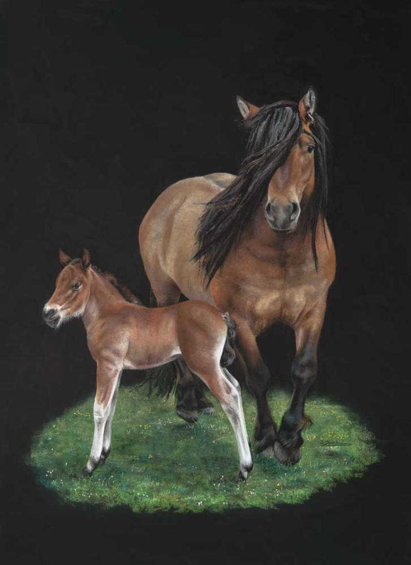 Horse Art: Portrait of a mare & foal