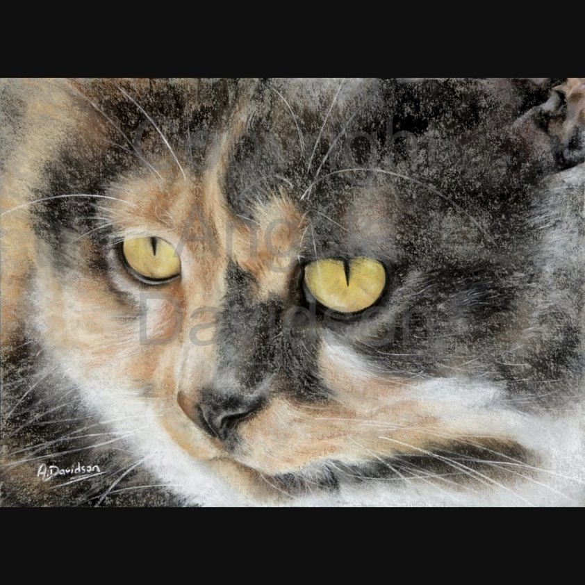 Considering: A Cat Print by Angela Davidson Art
