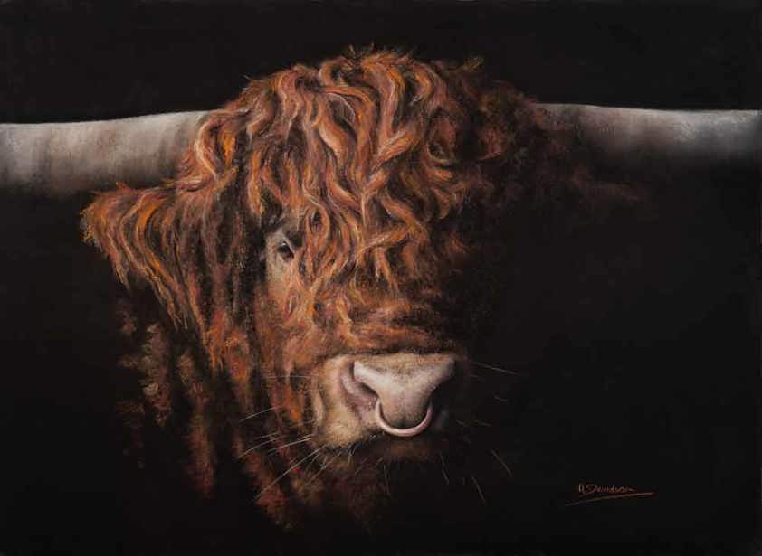 A Fine Art Print of a Scottish Highland Bull