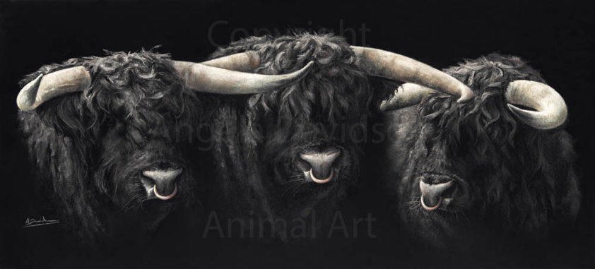 Highland Bull Art