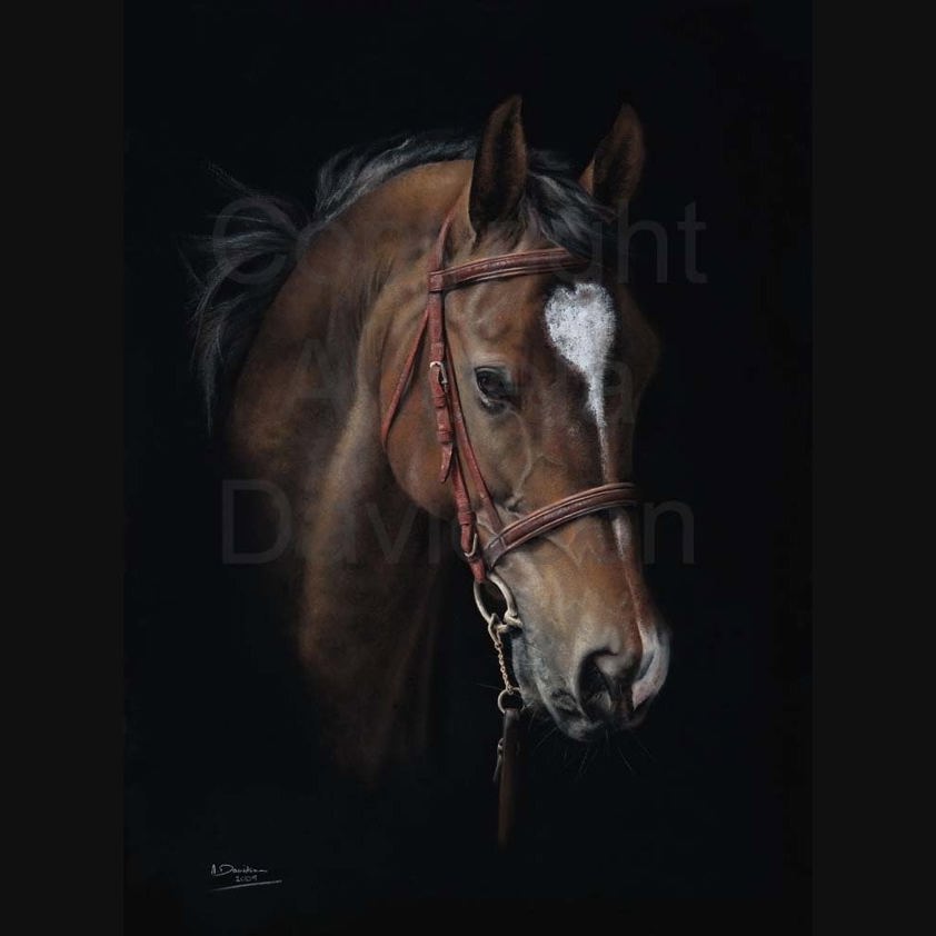 Star Dancer: A Stallion Horse Print by Angela Davidson Art