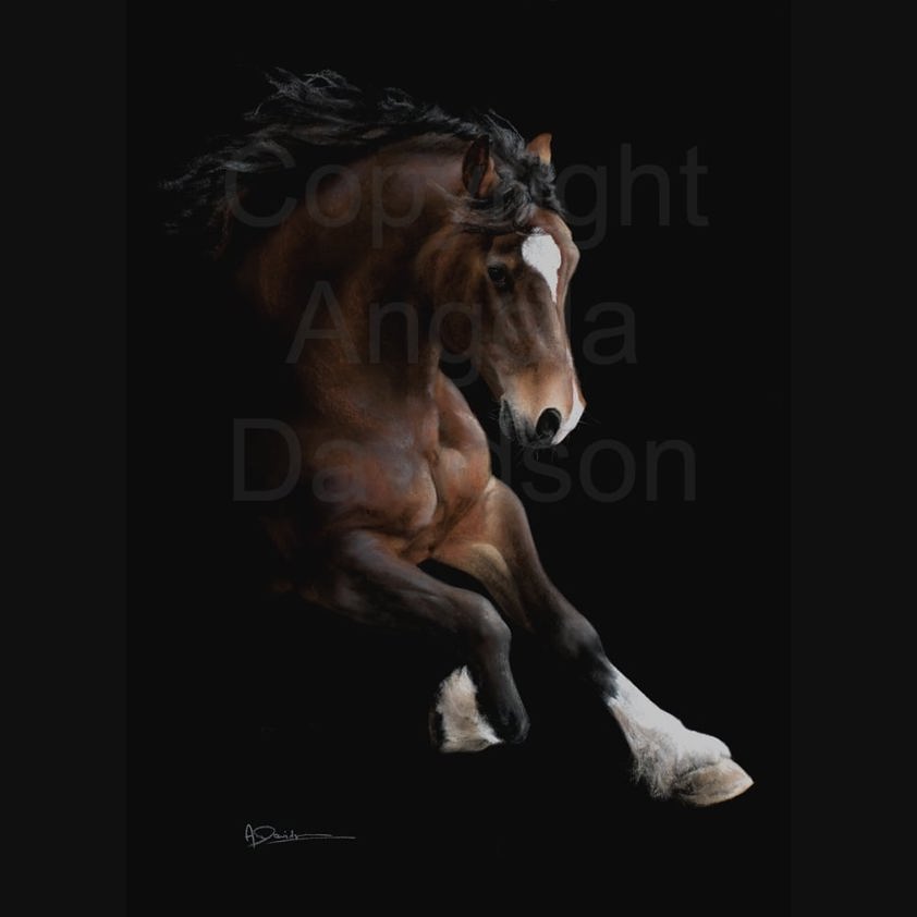 The Fire: A Welsh Cob Horse Print by Angela Davidson Art