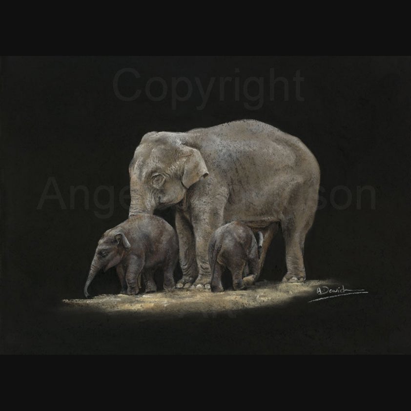 Splish and Splash: A Elephant Print by Angela Davidson Art