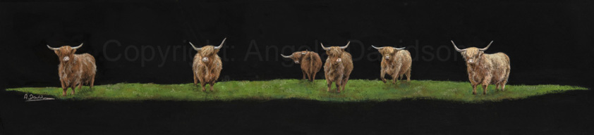 Highland Cattle Art