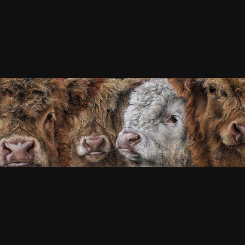 Highland Gathering: A Highland Cow Print by Angela Davidson Art
