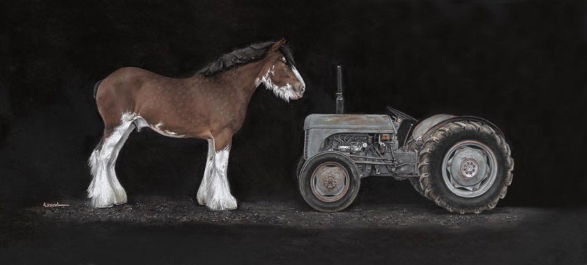Workhorse: A Clydesdale Horse Print by Angela Davidson Art