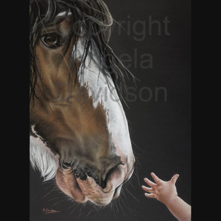 Introduction: A Clydesdale Horse Print by Angela Davidson Art