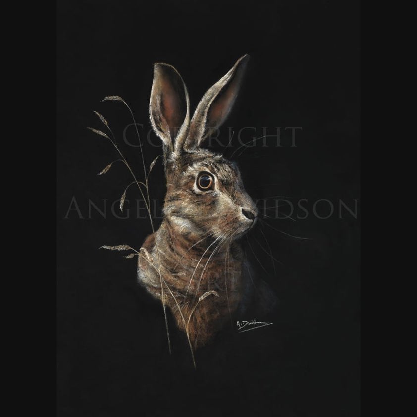Hare Today...: A  Print by Angela Davidson Art