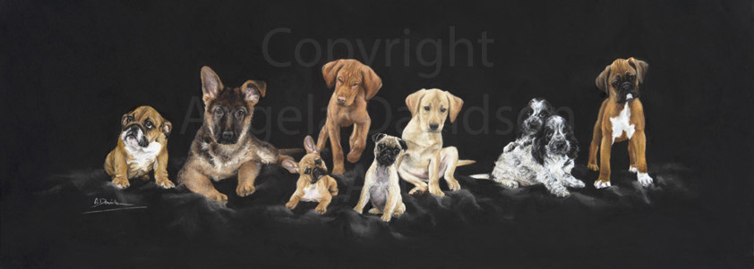 Creche: A  Print by Angela Davidson Art