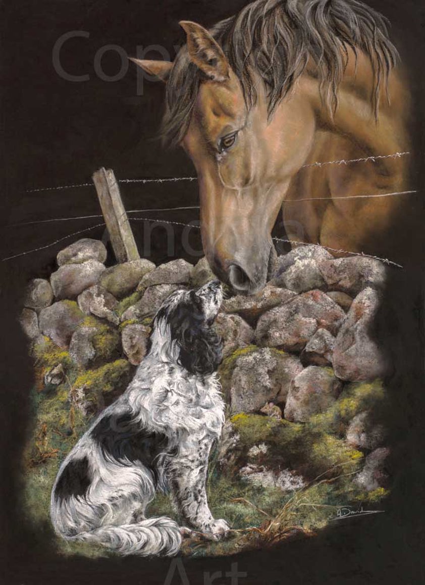 Chinwag: A Springer Spaniel Print by Angela Davidson Art